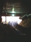 Citytunnel Leipzig Juli