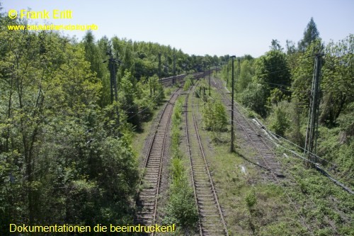 Arno-Nitzsche Strae - Blickrichtung Sd (Einbindung CTL)